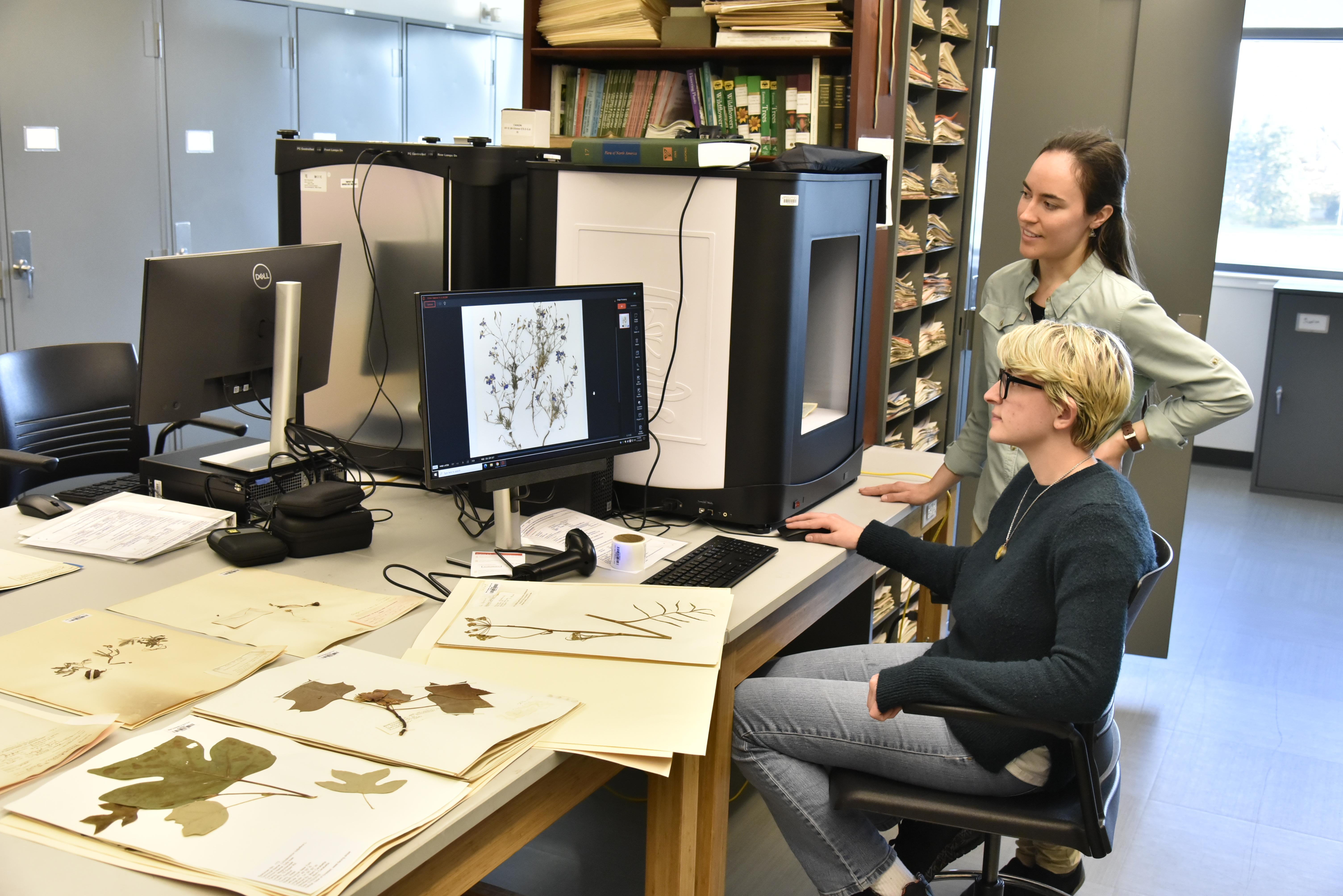 The SUNY Oswego herbarium is providing hands-on opportunities for student researchers helping preserve and provide access to a vast collection