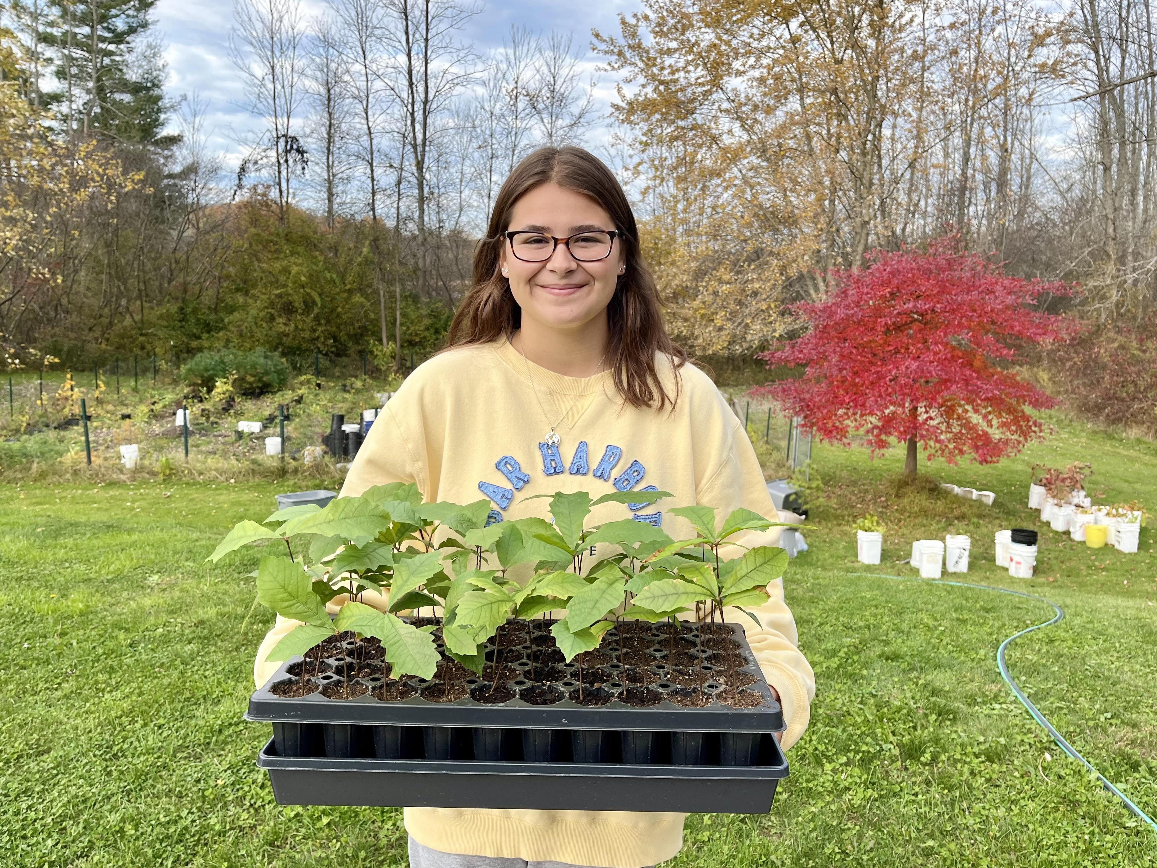 Zoology major and intern Sarah McCauliffe holds a tray of saplings