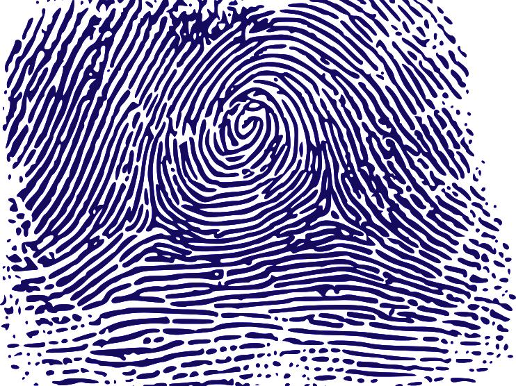 Fingerprint image, courtesy of WikiMedia