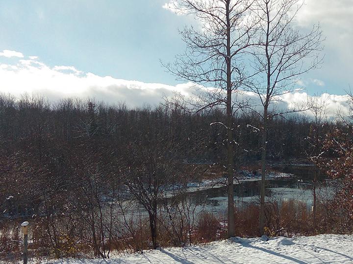 Winter scene of Rice Pond and trees at Rice Creek Field Station