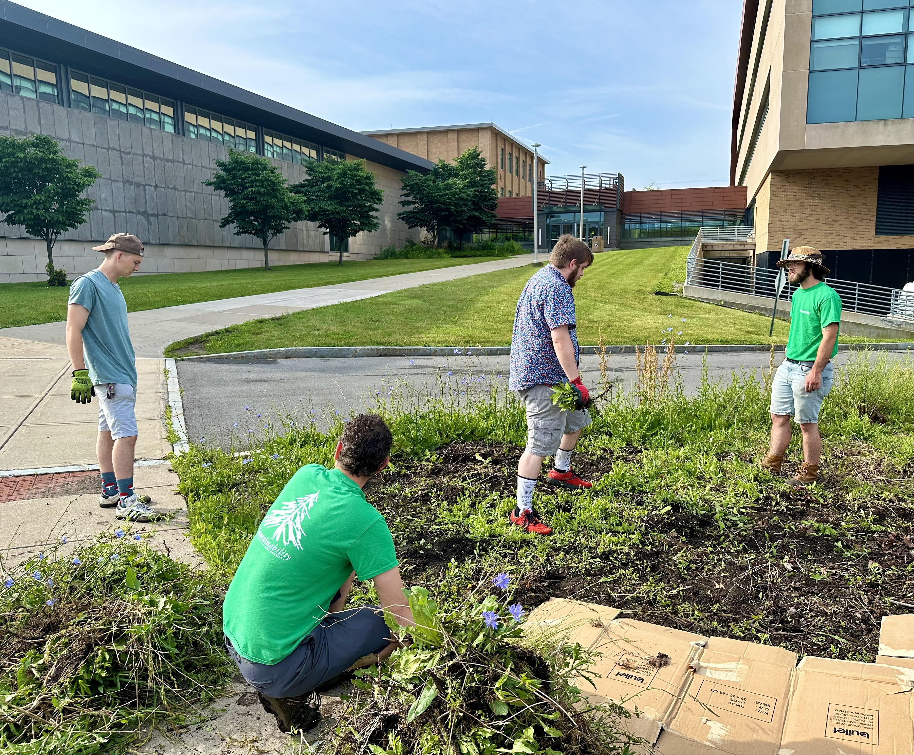 Students and staff members work in the Permaculture Learning Laboratory campus garden