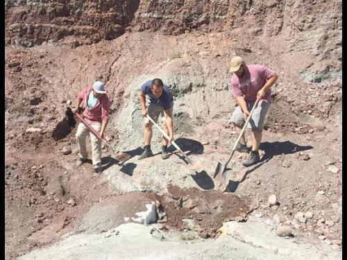 Students digging