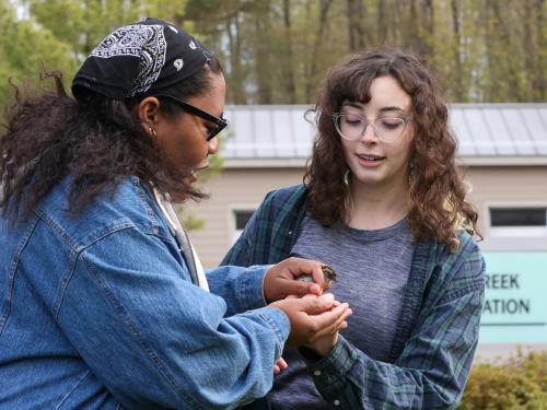 Attendees of the Feathered Friends Festival will have the opportunity to work with SUNY Oswego faculty and students to gently interact with birds