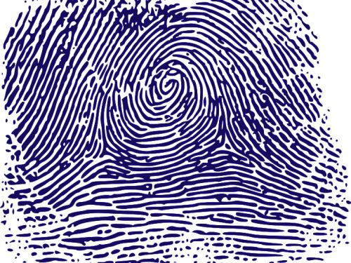 Fingerprint image, courtesy of WikiMedia