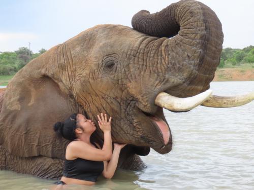 Student Joy McClinton, who studied abroad on the Winter 2024 faculty-led South Africa (Bela Bela) program, makes friends with an elephant. 