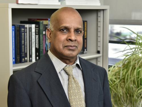 Outstanding work inside the classroom and supporting student research have earned Ampalavanar Nanthakumar of SUNY Oswego’s Mathematics Department the rank of SUNY Distinguished Teaching Professor
