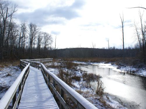 Snow on bridge across stream at Rice Creek