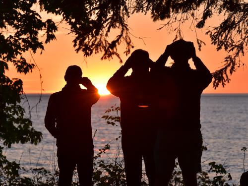 Alumni check out a gorgeous sunset over Lake Ontario
