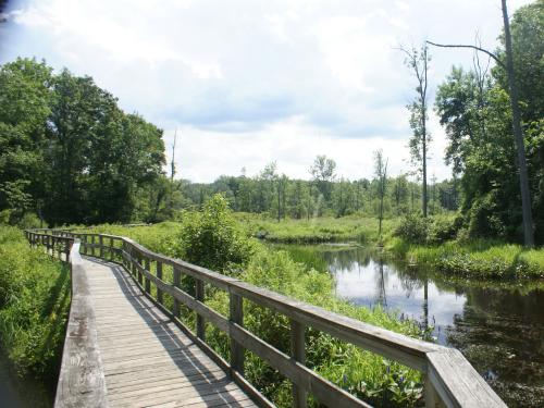 Wooden footbridge over wetlands at Rice Creek Field Station