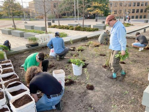 Campus community members work in the Alvar Garden