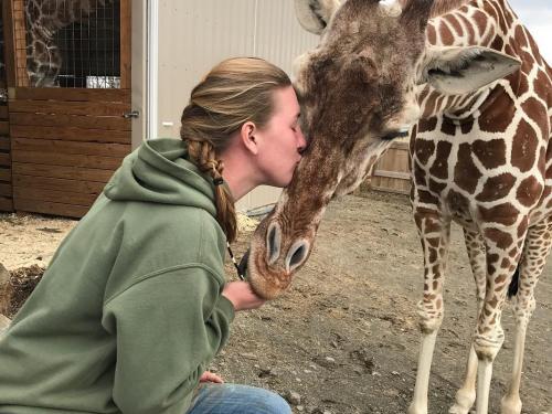 Allysa Swilley kisses giraffe