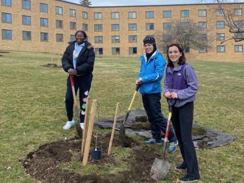 Three campus volunteers plant a tree in the Centennial Arboretum