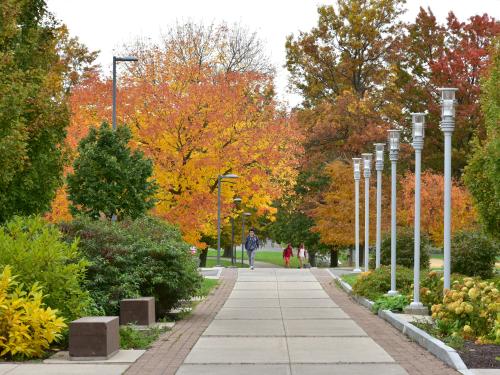 From shelter from the summer sun to the splendor of autum leaves to supporting animals and an ecosystem, SUNY Oswego's trees are a signature part of campus.