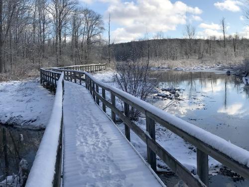 A wintry trail at Rice Creek Field Station