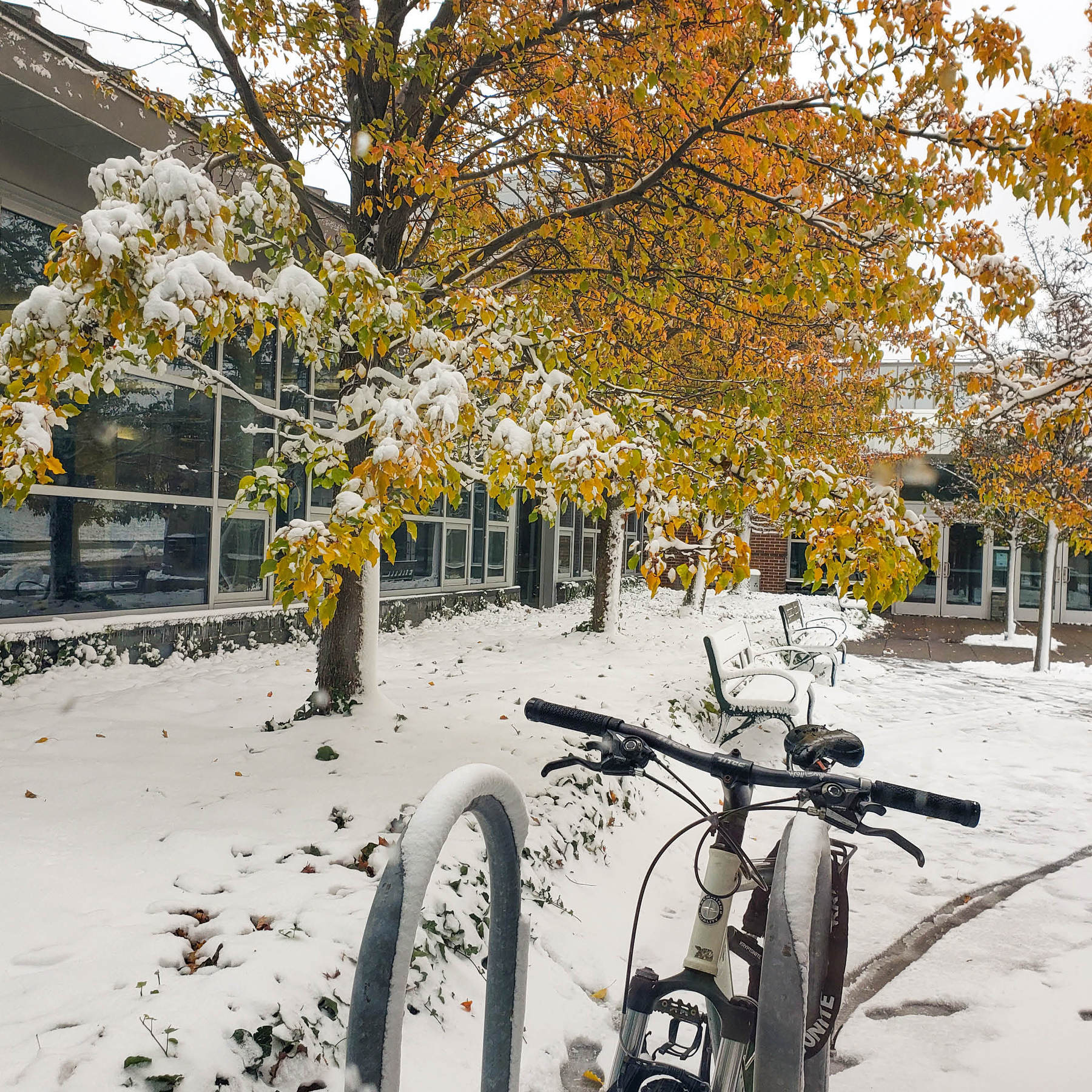 Oswego's first taste of winter for the season happened Nov. 12 when several inches of accumulating snow fell upon the still colorful fall foliage as seen in this photo taken outside Marano Campus Center.
