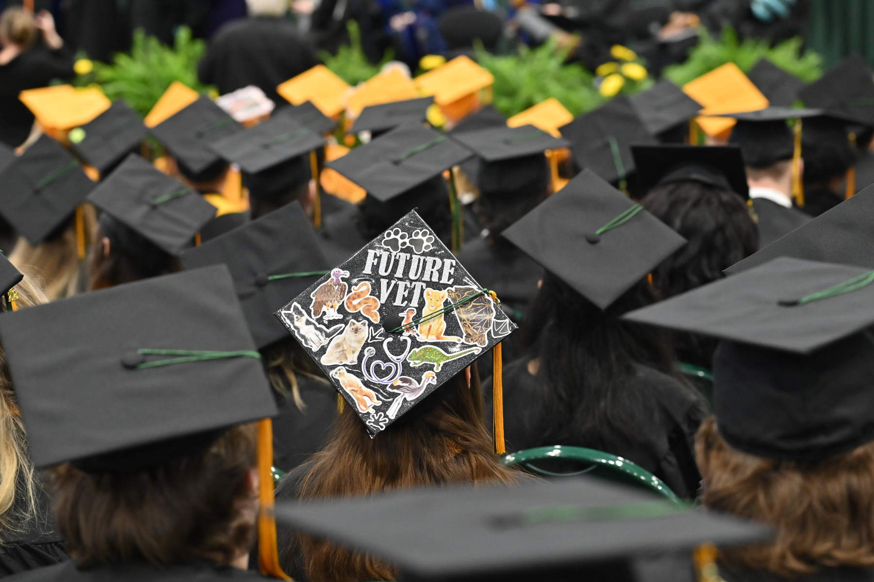 Graduation caps decorated, often with personal aspirations for the future and reflections on the journey, dotted the audience during December Commencement.
