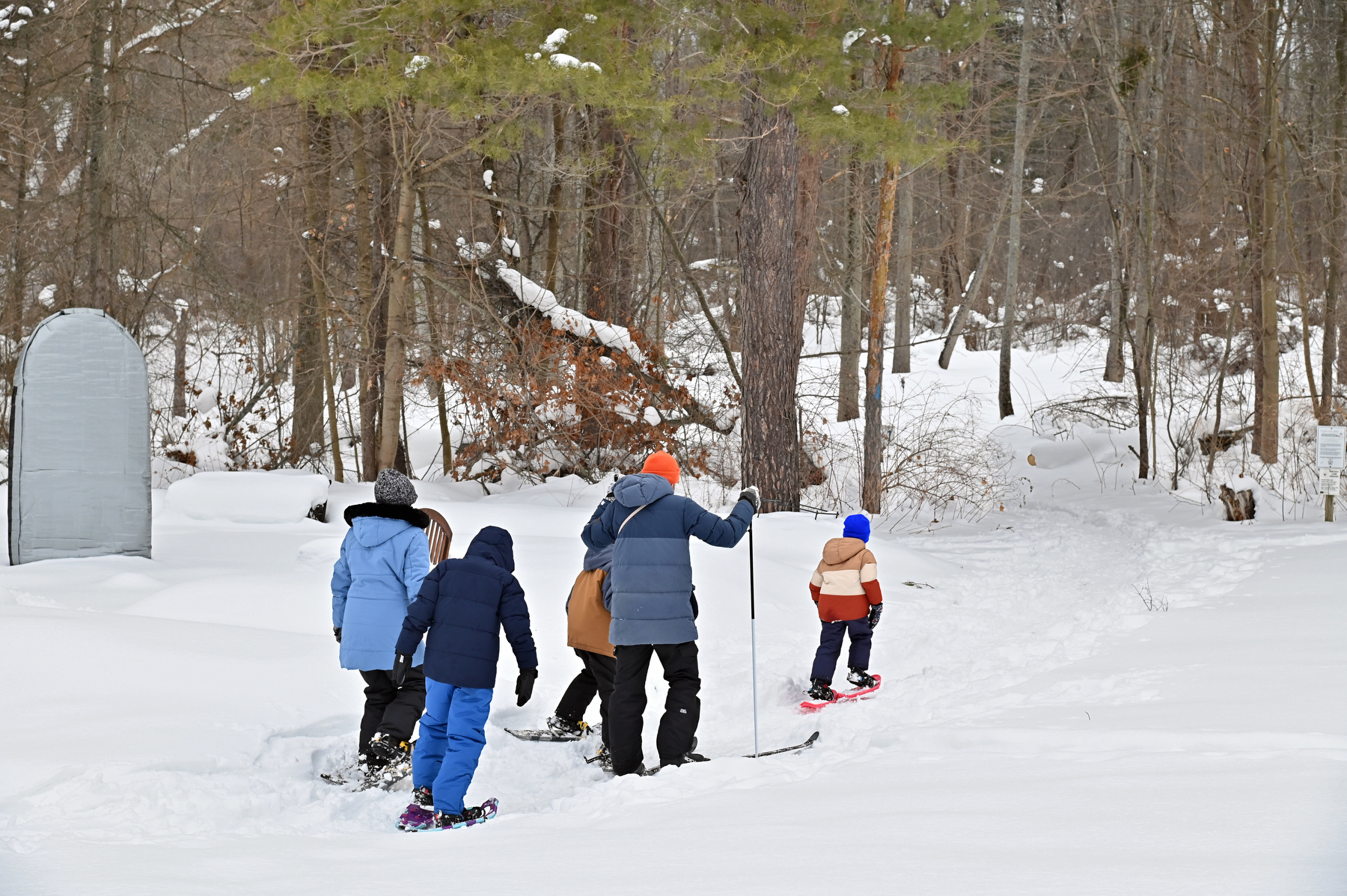 During Rice Creek Field Station's annual Celebrate Snow Winter Festival, snowshoers and cross-country skiers had the opportunity to explore the trails.