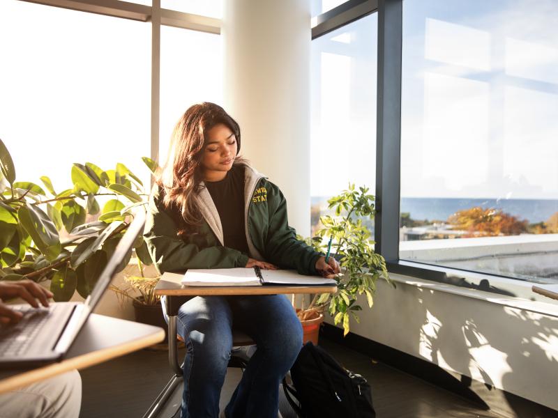 female student studying in a corner in Shineman