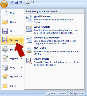 what are the different microsoft word file formats