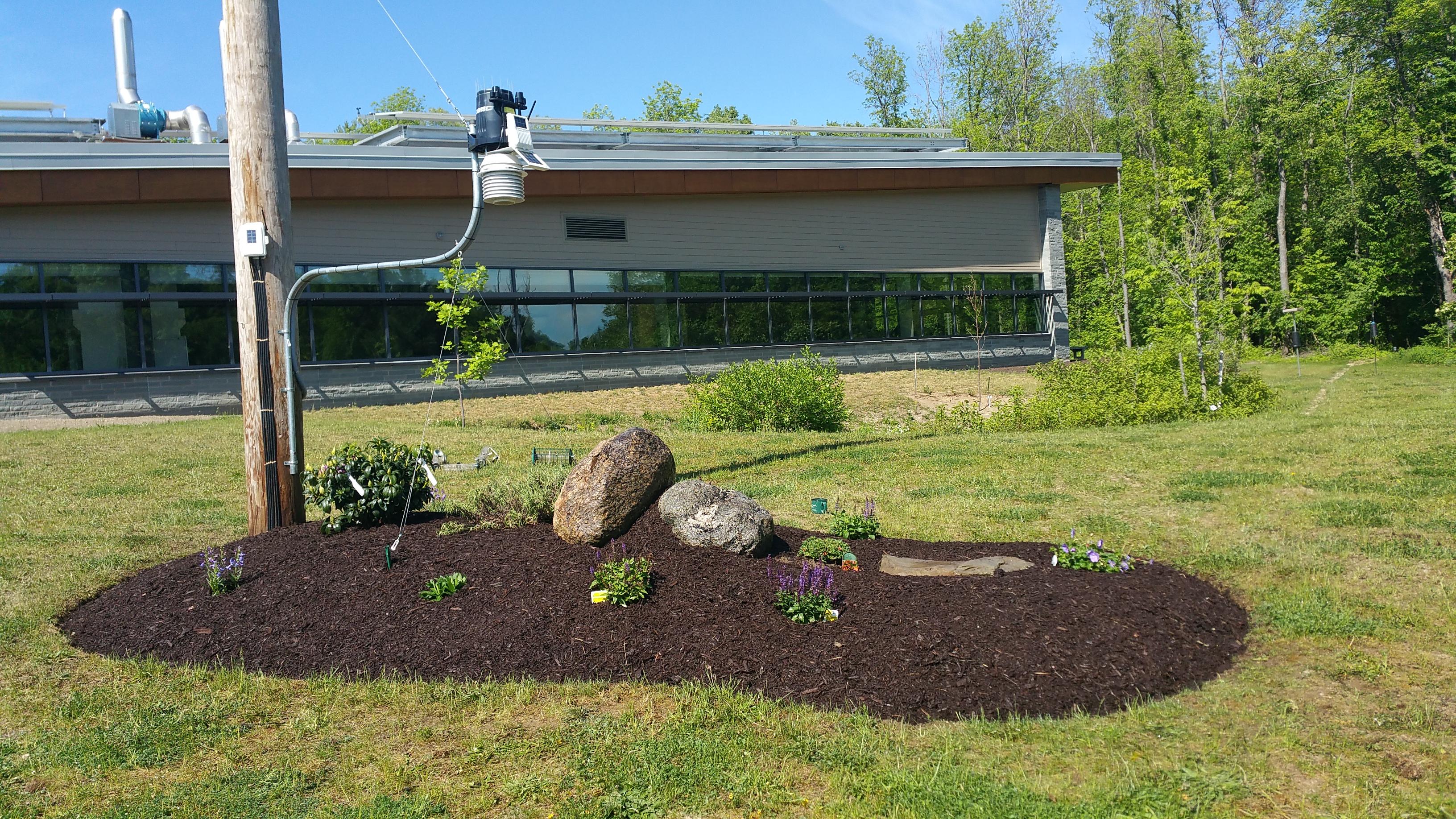 Backyard Weather Station