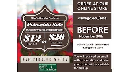 SEFA Poinsettia Sale 2018 - Order by Fri. Nov. 30th!